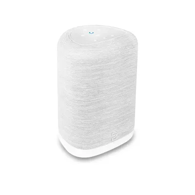 Bluesound Pulse Flex P130 a Ginevra | Digistore.ch